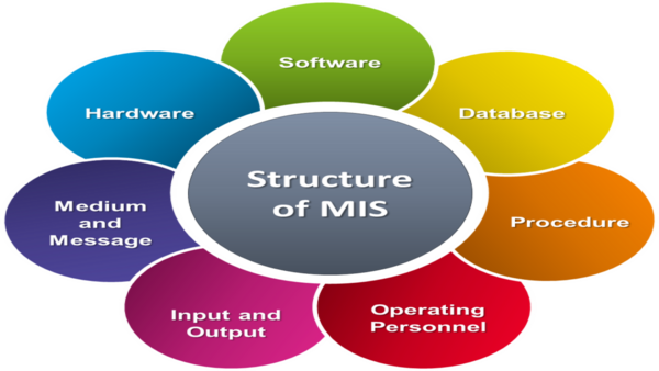MIS System